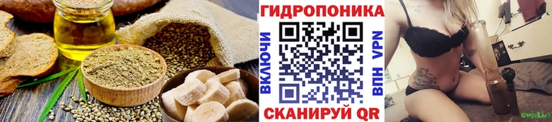 площадка телеграм  Беломорск  Cannafood конопля 