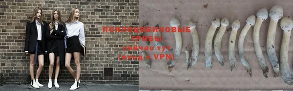 гидропоника Абинск