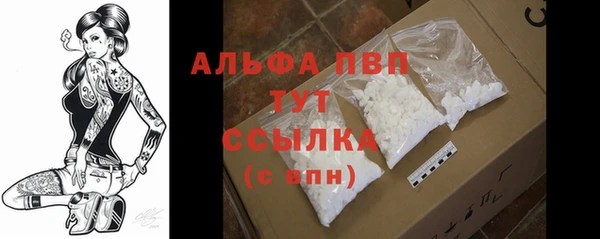 ГАЛЛЮЦИНОГЕННЫЕ ГРИБЫ Рославль