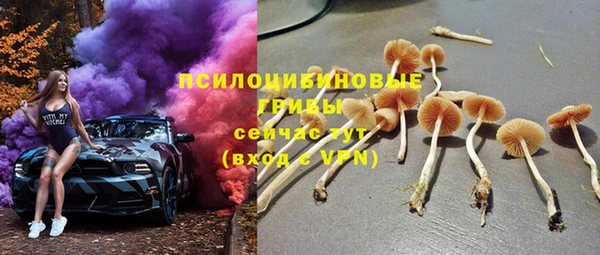 винт Абаза