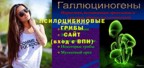 ГАЛЛЮЦИНОГЕННЫЕ ГРИБЫ Рославль