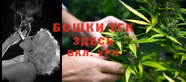 винт Абаза