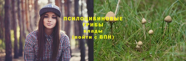 гидропоника Абинск