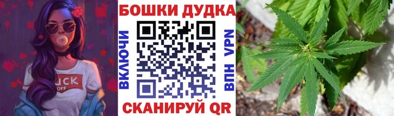 Бошки марихуана ГИДРОПОН Беломорск