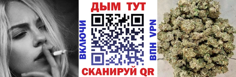 Бошки марихуана OG Kush Беломорск